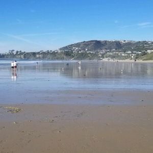 Meet your Posher, Athena